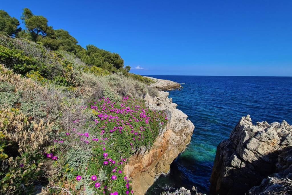 Casalionelantibes 70 Sqm Apartment With Garden And Parking Экстерьер фото