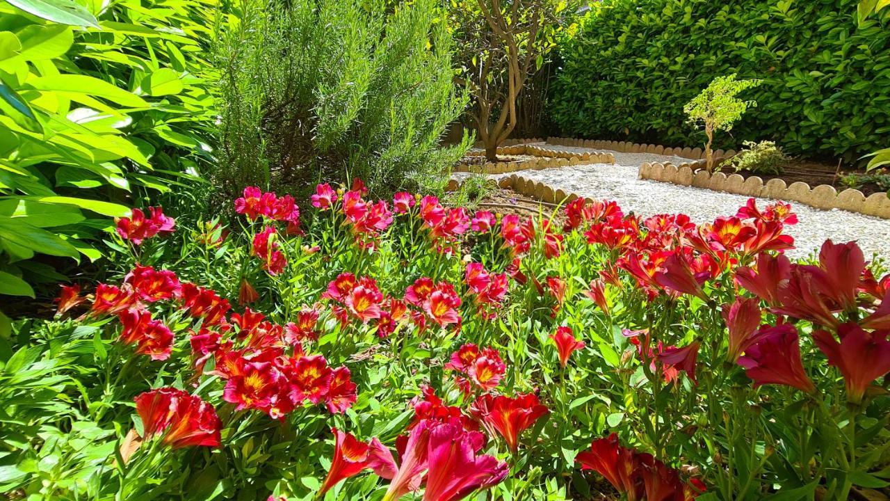 Casalionelantibes 70 Sqm Apartment With Garden And Parking Экстерьер фото